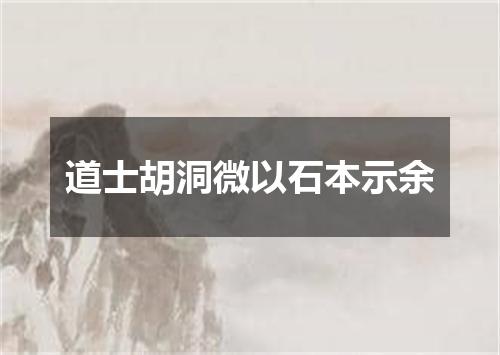 道士胡洞微以石本示余