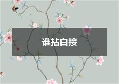 谁拈白接