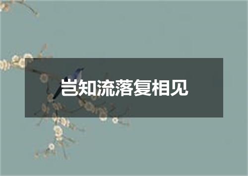 岂知流落复相见