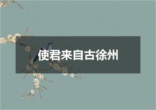 使君来自古徐州