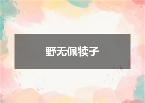 野无佩犊子