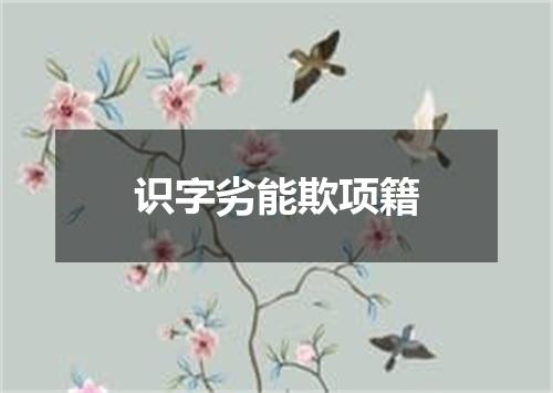 识字劣能欺项籍