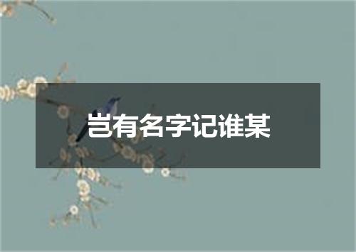 岂有名字记谁某