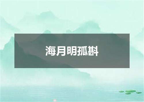 海月明孤斟