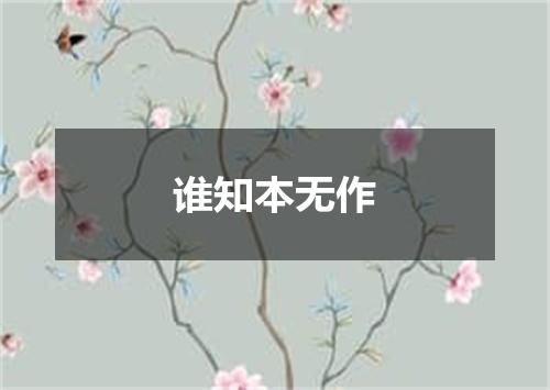 谁知本无作