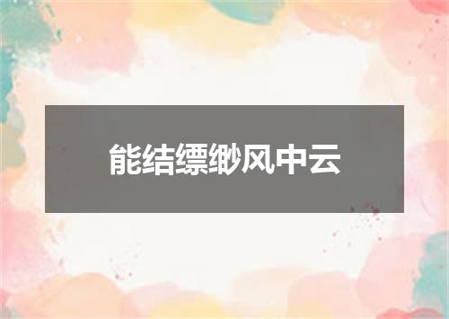 能结缥缈风中云