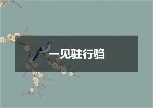 一见驻行驺