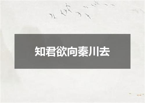 知君欲向秦川去