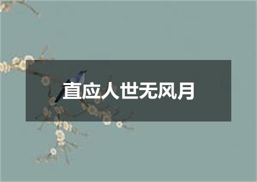 直应人世无风月