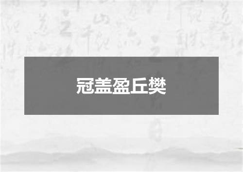 冠盖盈丘樊