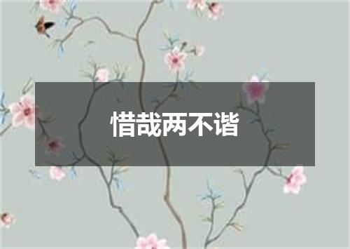 惜哉两不谐