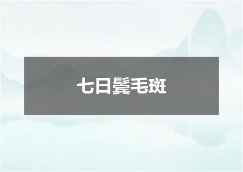 七日鬓毛斑