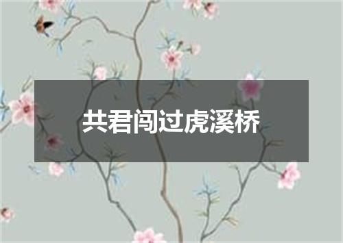 共君闯过虎溪桥