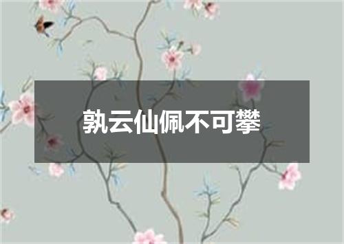 孰云仙佩不可攀