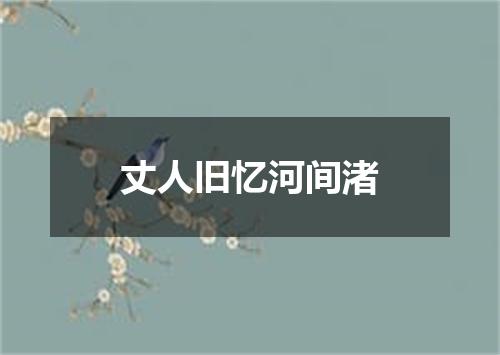 丈人旧忆河间渚