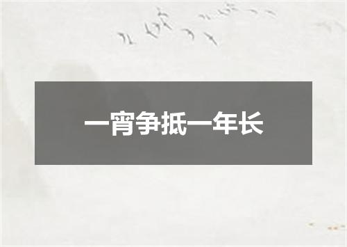 一宵争抵一年长