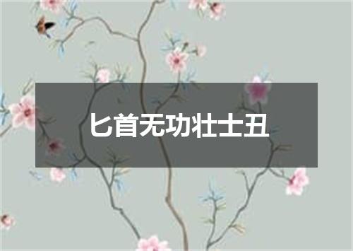 匕首无功壮士丑