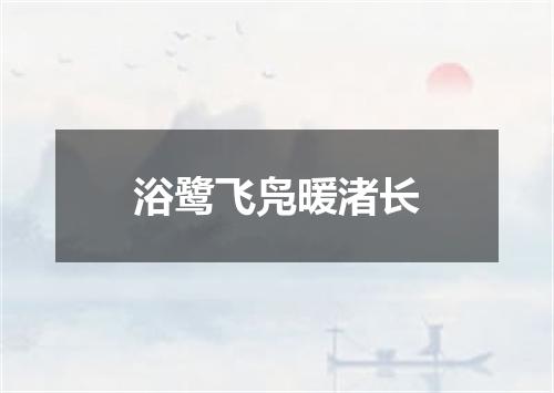 浴鹭飞凫暖渚长