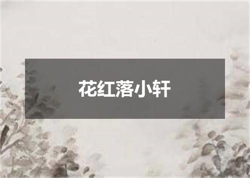 花红落小轩