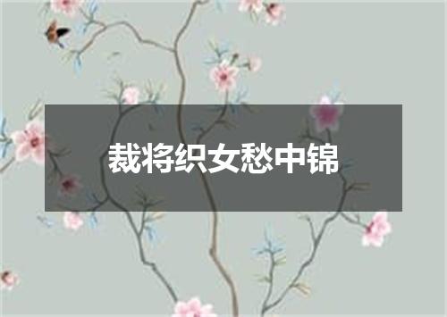 裁将织女愁中锦