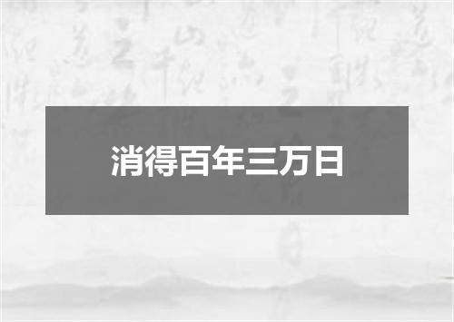 消得百年三万日