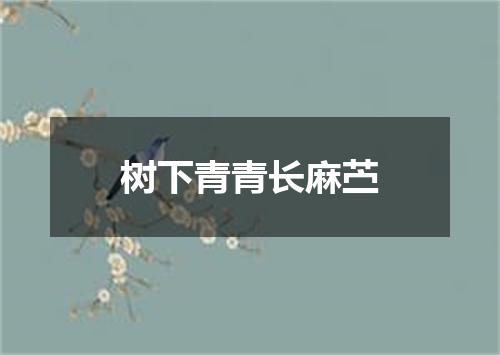 树下青青长麻苎