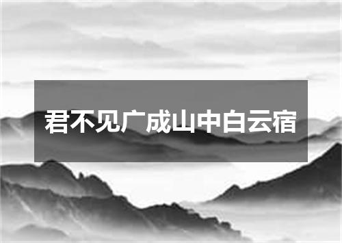 君不见广成山中白云宿