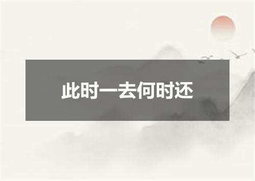 此时一去何时还