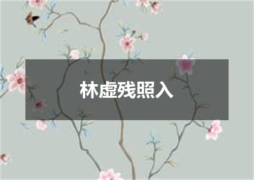 林虚残照入