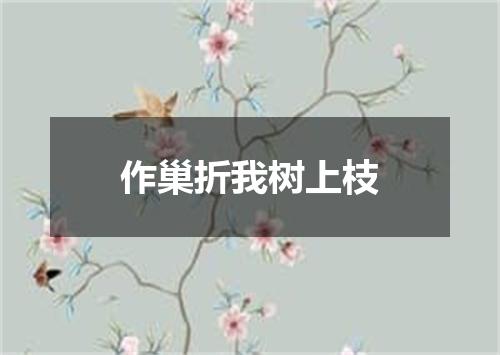 作巢折我树上枝