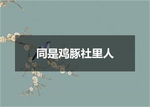 同是鸡豚社里人