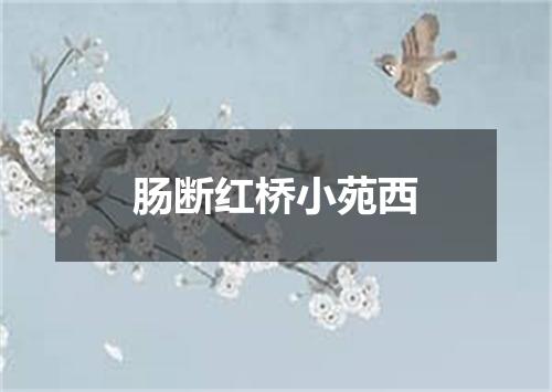 肠断红桥小苑西