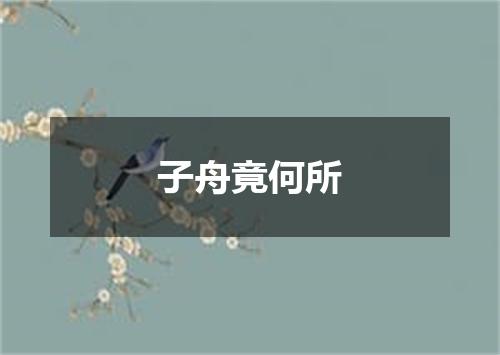 子舟竟何所