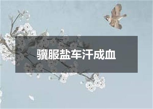 骥服盐车汗成血