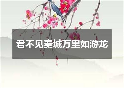 君不见秦城万里如游龙