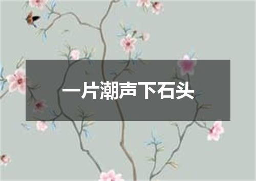 一片潮声下石头