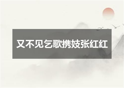 又不见乞歌携妓张红红