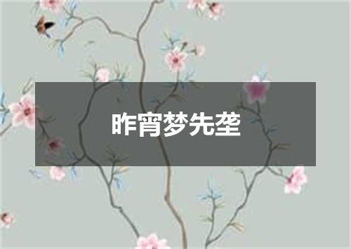 昨宵梦先垄