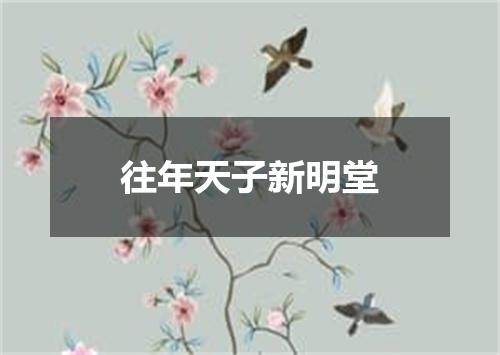 往年天子新明堂