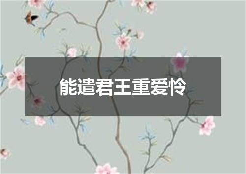 能遣君王重爱怜