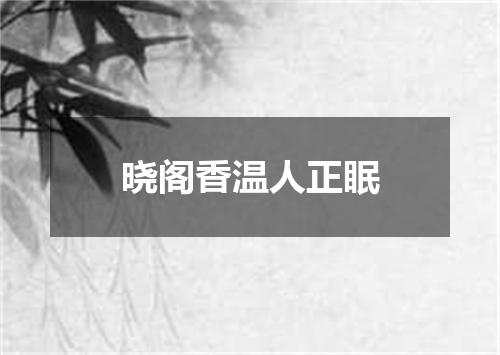 晓阁香温人正眠