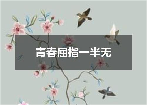 青春屈指一半无