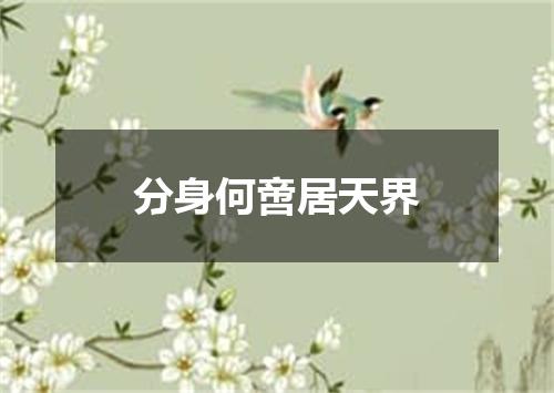 分身何啻居天界