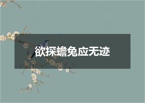 欲探蟾兔应无迹