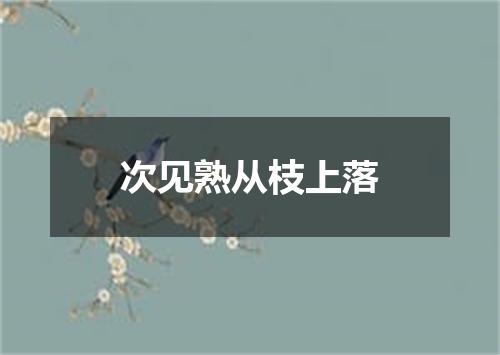 次见熟从枝上落