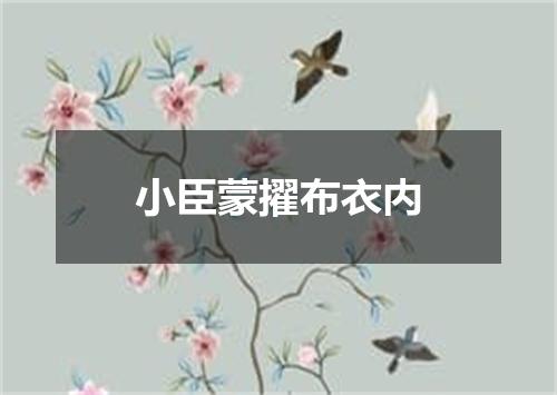 小臣蒙擢布衣内