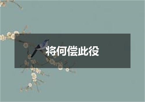 将何偿此役