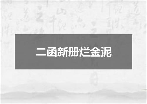 二函新册烂金泥