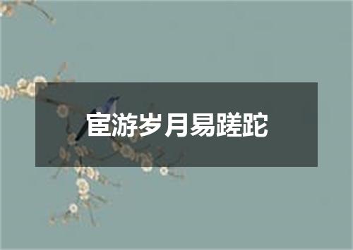 宦游岁月易蹉跎