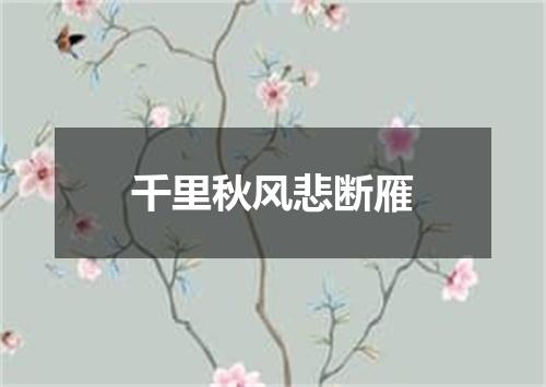 千里秋风悲断雁